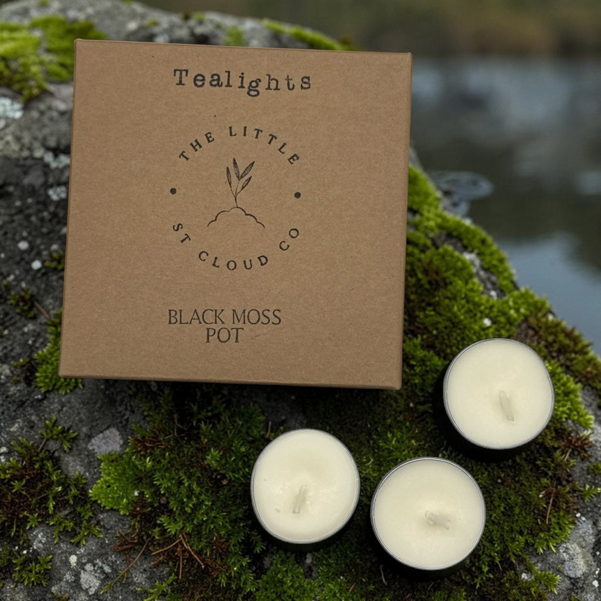 A kraft paper box labeled 'Tealights' and 'The Little St Cloud Co Black Moss Pot' sits outdoors on mossy rocks beside three small tealight candles.