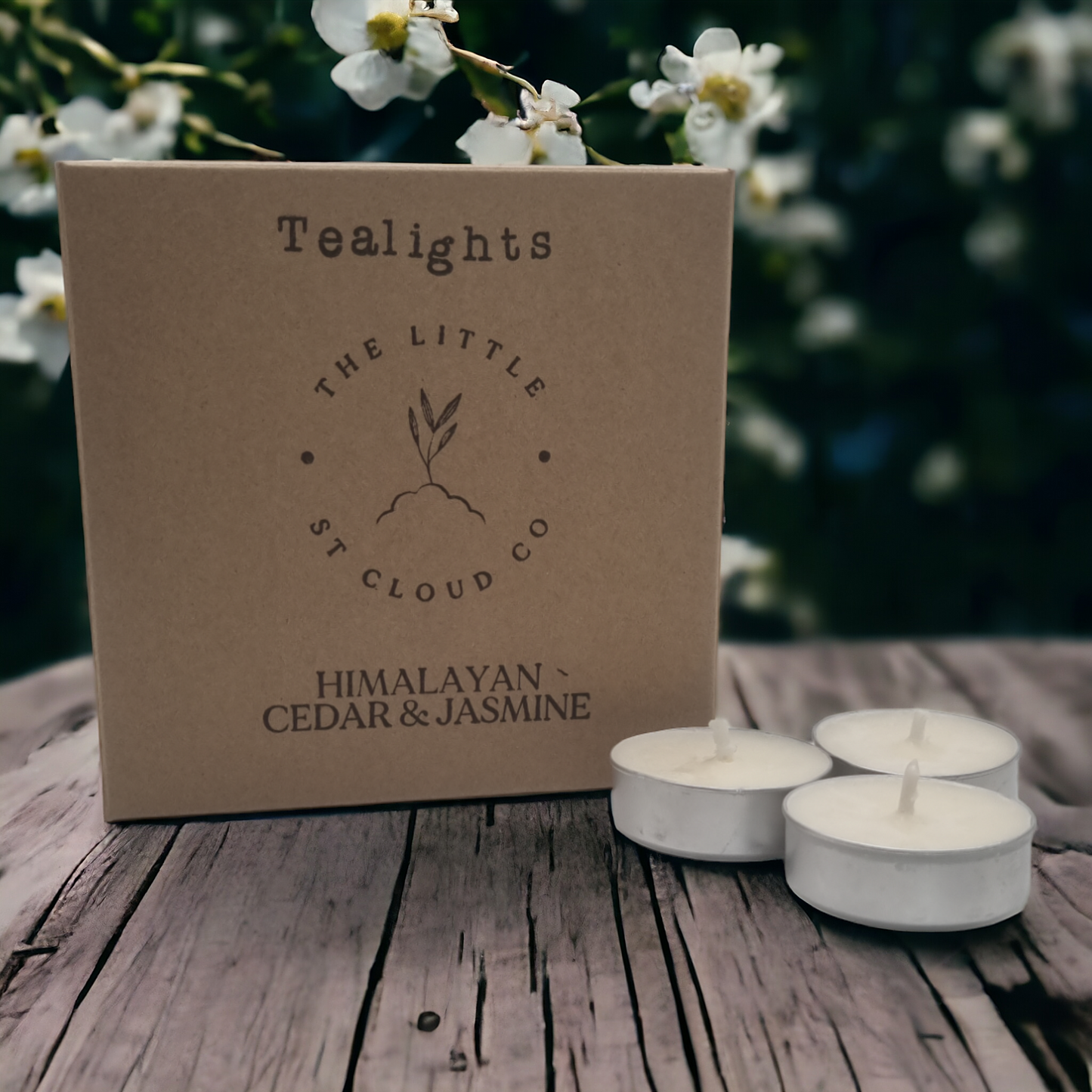 Himalayan Cedar & Jasmine Tealights