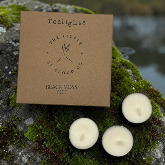 A kraft paper box labeled 'Tealights' and 'The Little St Cloud Co Black Moss Pot' sits outdoors on mossy rocks beside three small tealight candles.
