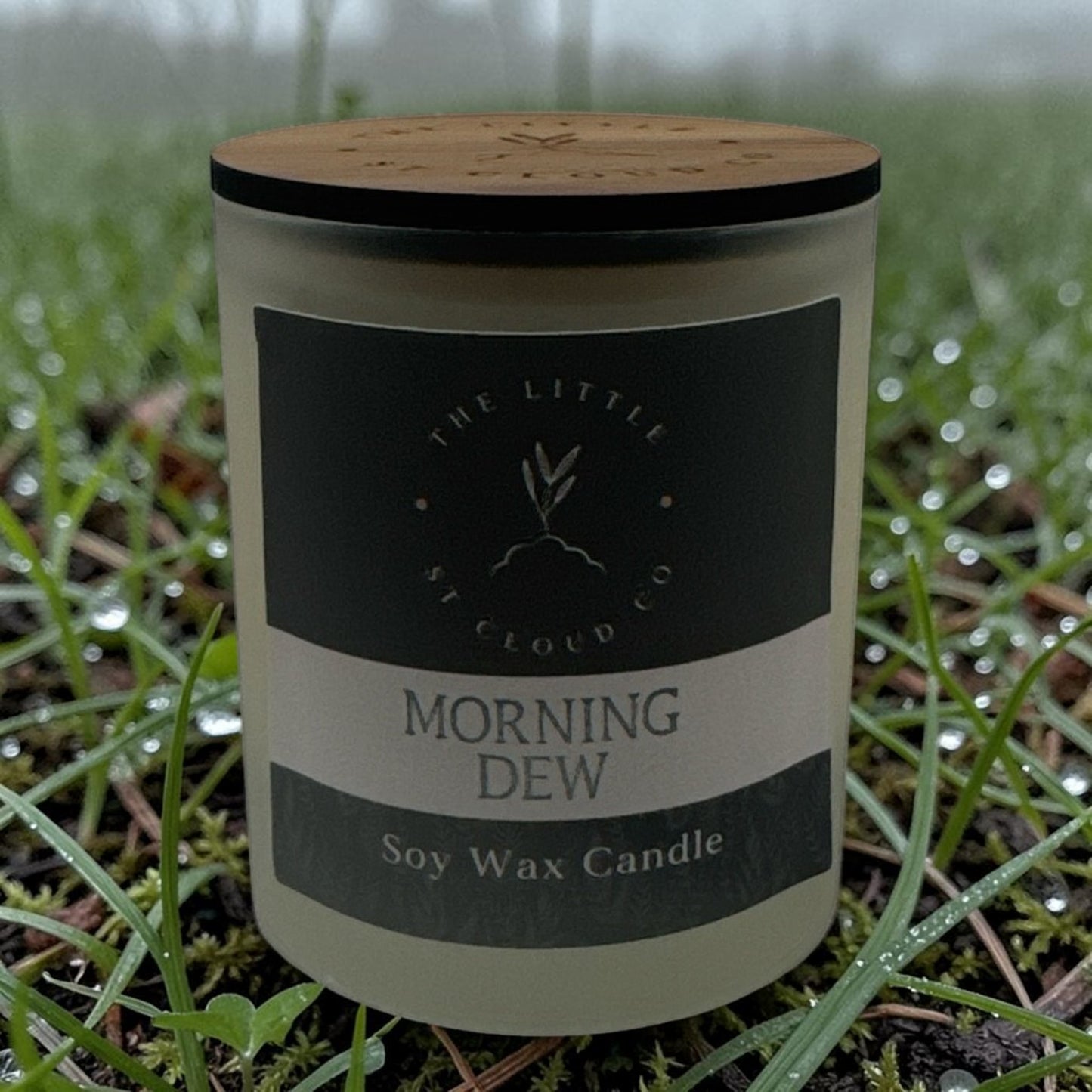 Soy wax candle labeled 'Morning Dew' by The Little Cloud Co. on grass with dew drops.