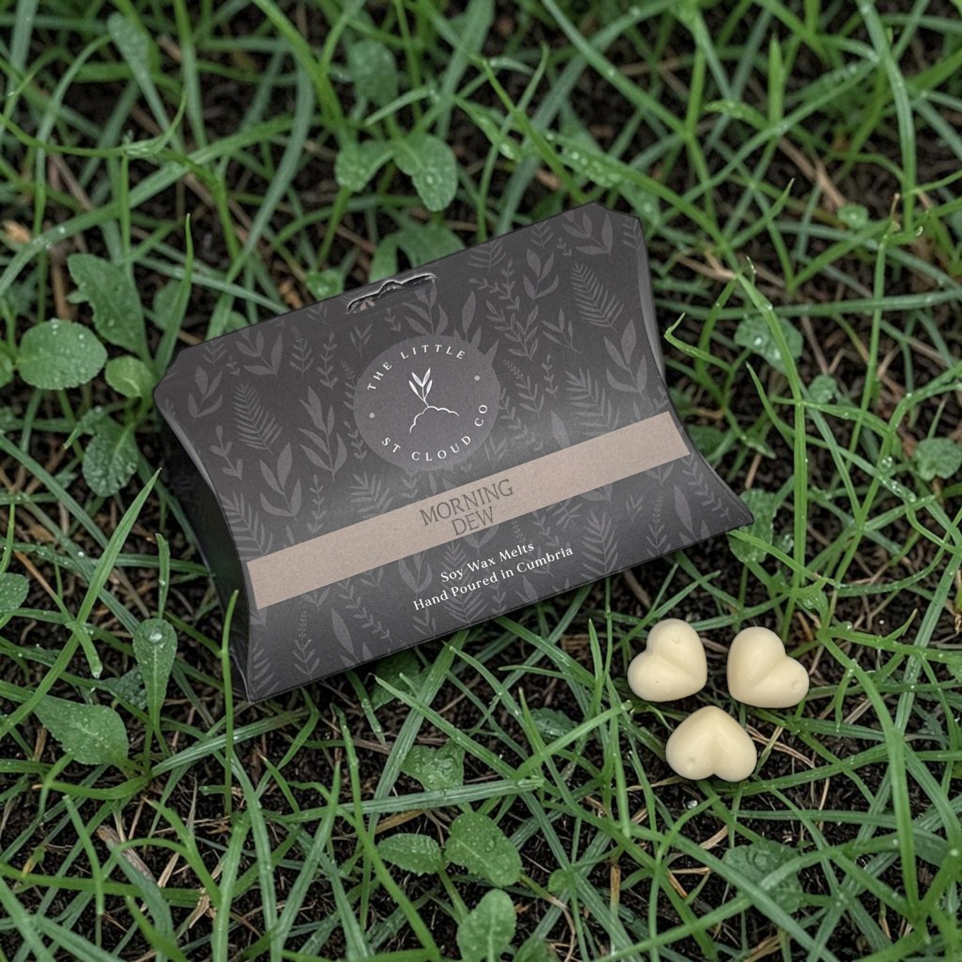 Soy wax melts packaging on grass
