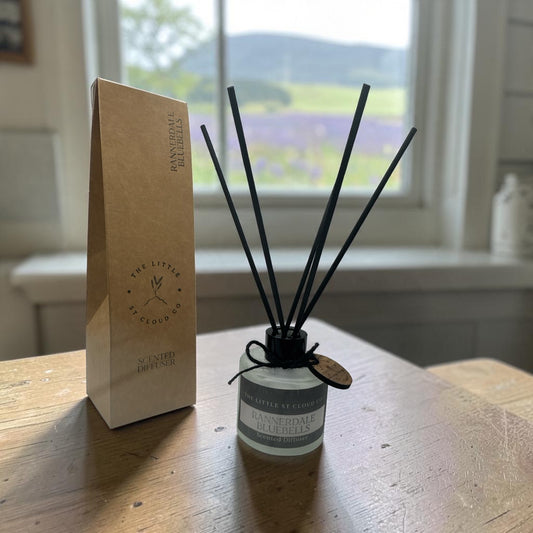 A frosted glass bottle diffuser with black reeds  in the scent rannerdale bluebells by the little st cloud company in a window with views of fells and bluebells