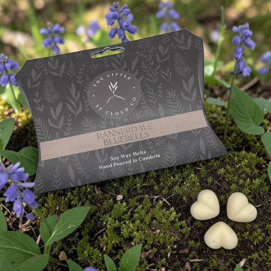 a rectangular packet of wax melts by the little st cloud company in the scent rannerdale bluebells sat amongst luebells and moss