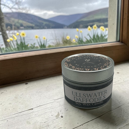 Candle tin in the scent ullswater daffodils by the little st cloud co with a lakeside view with daffodils