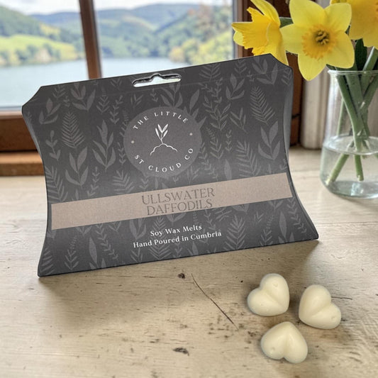 Box of wax melts by the little st cloud co in scent ullswater daffodils in front of a lakeside view with a vase of daffodils